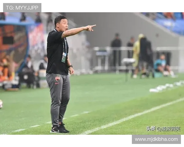 陈涛：中国球员德甲新旅程