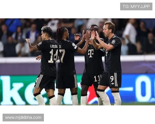 德甲历年欧冠参赛球队名单与赛季表现对比