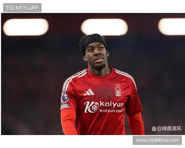 英超联赛中瑞典籍球员数量及代表人物数据分析 英超联赛中瑞典籍球员数量及代表人物数据分析